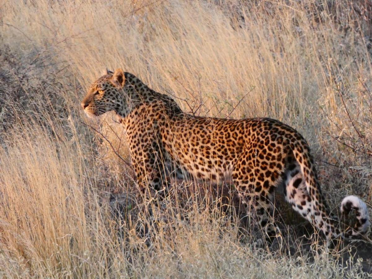 Ngangane Lodge & Reserve Франсістаун Екстер'єр фото